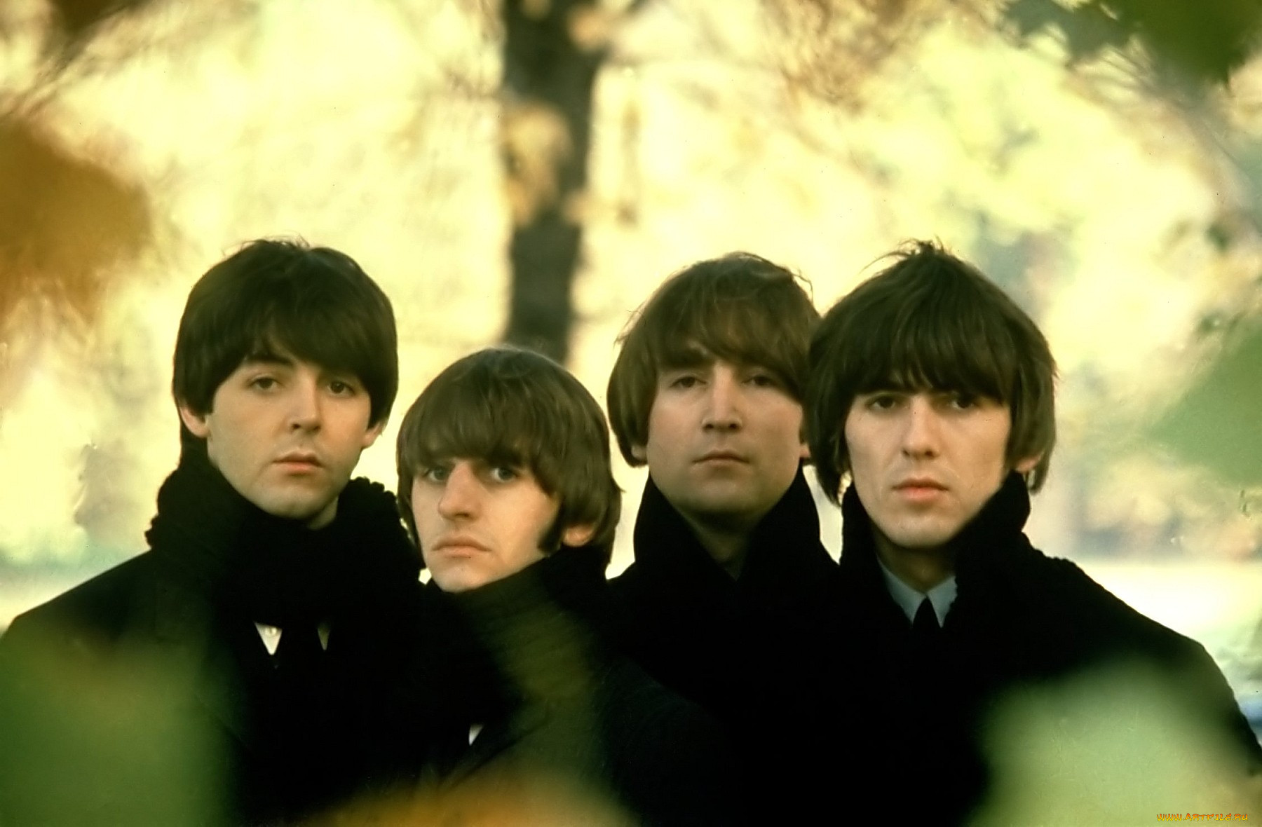 , the, beatles, , 